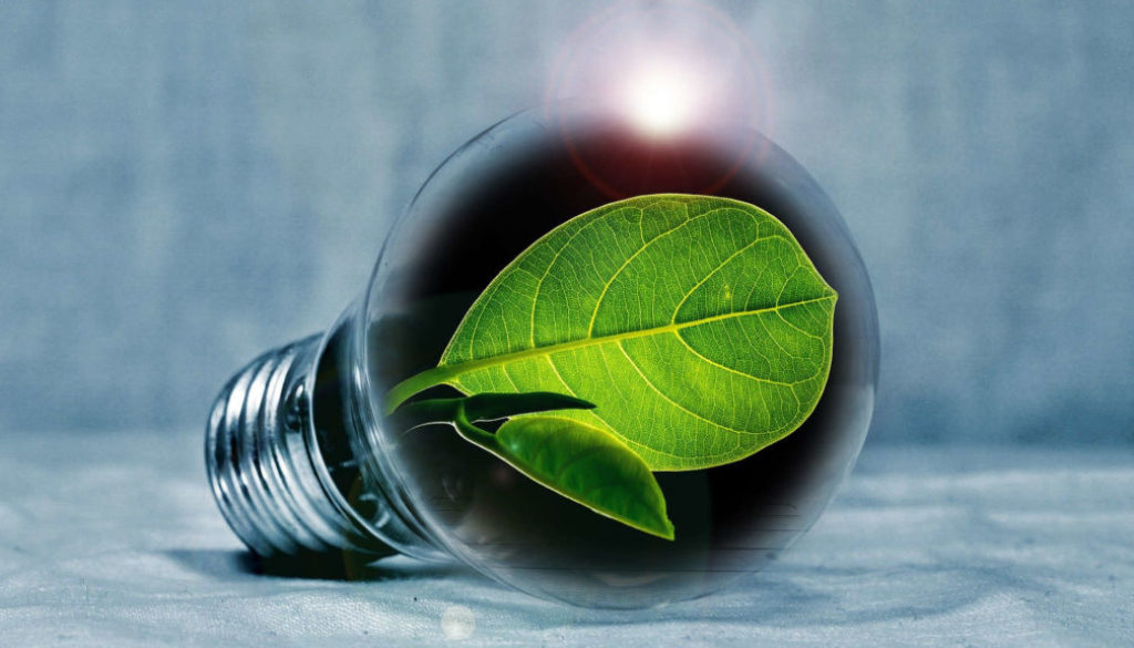 Free energy saving LED lightbulbs from Utility Warehouse are good for the environment