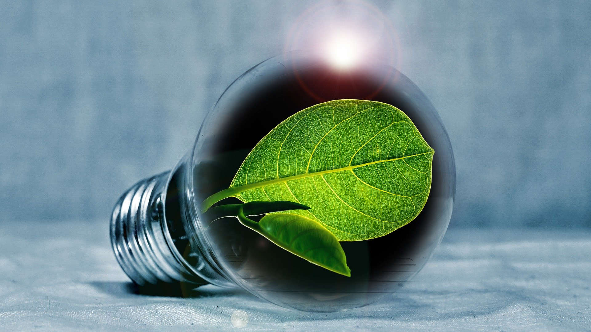 Free energy saving LED light bulbs from the Utility Warehouse are &#39;green&#39; &amp; good for the environment - Join Utility Warehouse (UW)
